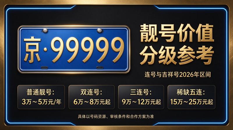 北京车指标服务咨询现场